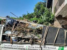 Professional Junk Removal Services in Mccormick, SC